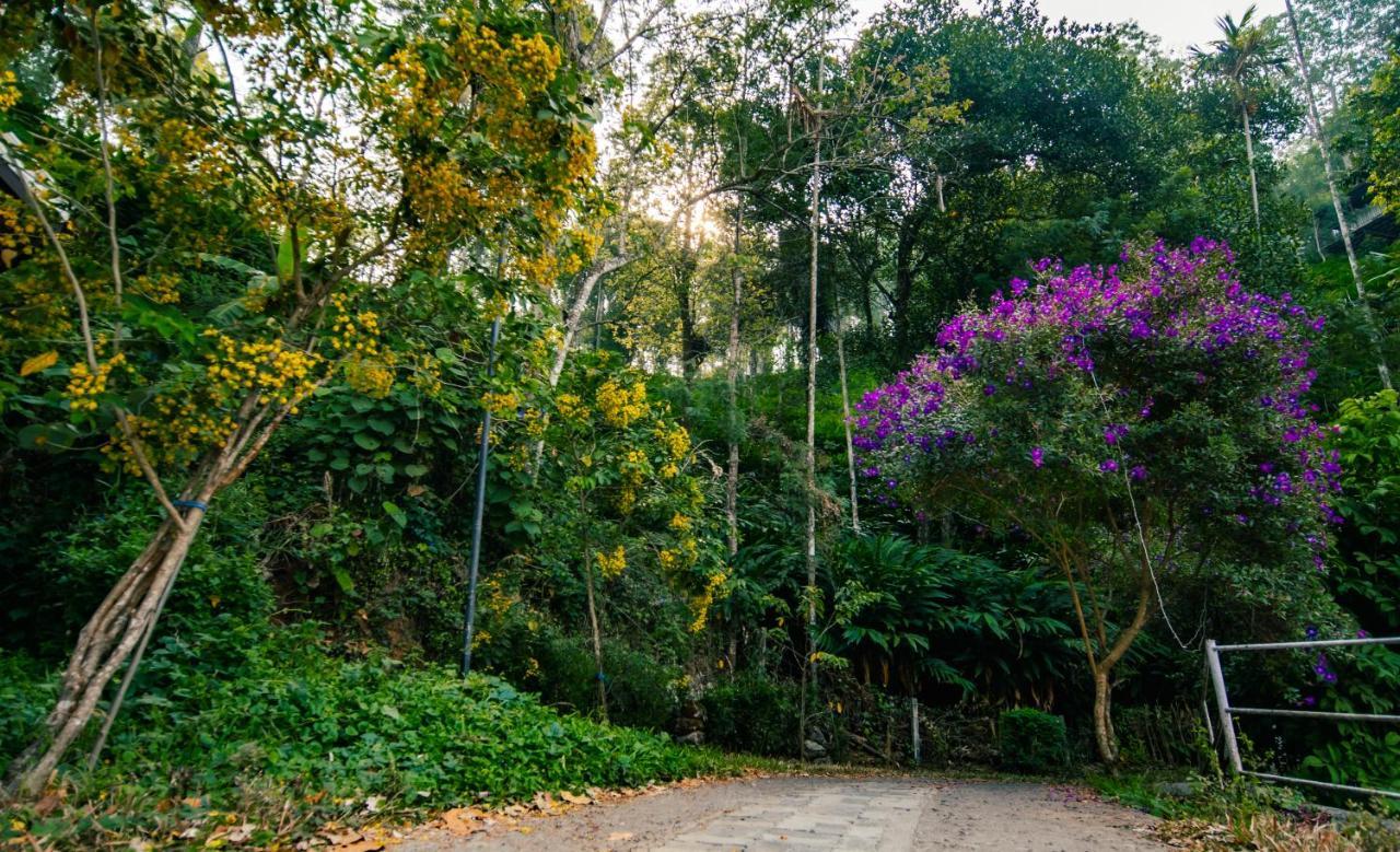 Southern Panorama Indriya Resorts & Spa Муннар Экстерьер фото